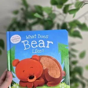 what does bear like touch and feel