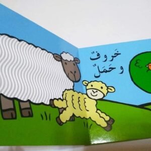 سلسلة كتب جديدة مفيدة ملمس بارز – photo 16