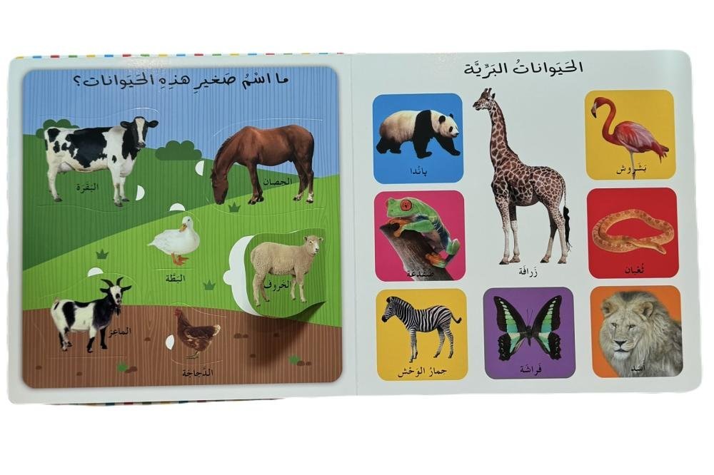 2026/10/1000417256.jpg ارفع القلابة أول ١٠٠ كلمة – photo 7
